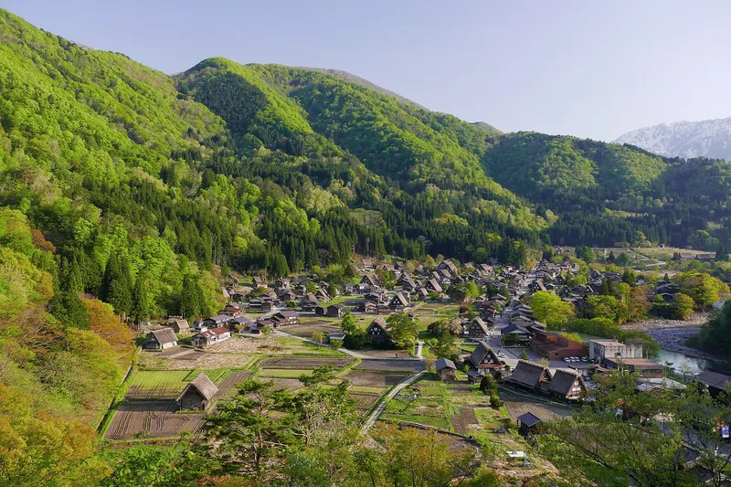 Ogimachi gassho-zukuri village's thatched roofs seen across the Sho River valley