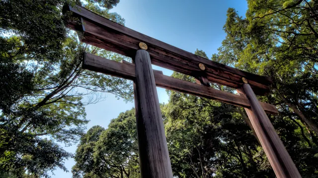 Meiji Shrine in Tokyo